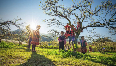 Vietnam Photo Tour to Sapa